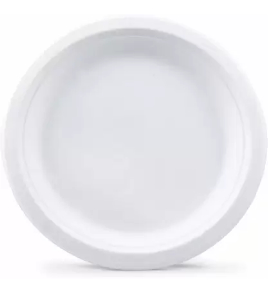 Sugar Cane Plate